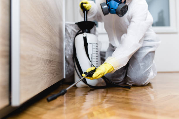 Best Affordable Pest Control Services  in Culver, OR