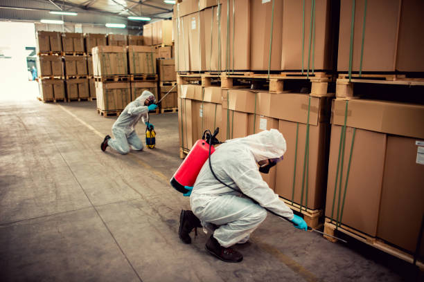 Best Bed Bug Extermination  in Culver, OR