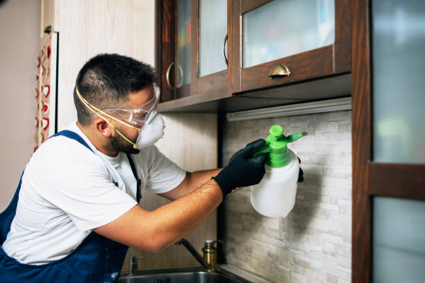 Best Local Pest Control Services  in Culver, OR