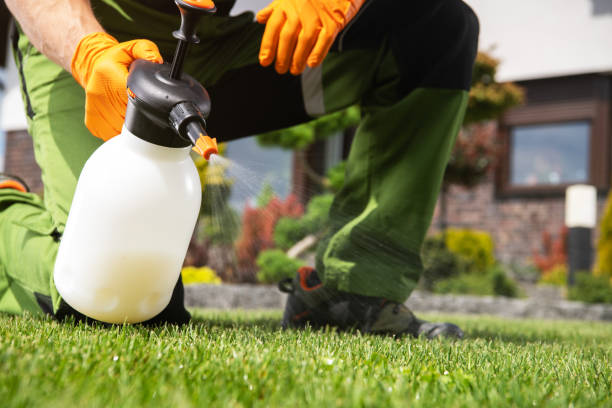 Wildlife Control Services in Culver, OR