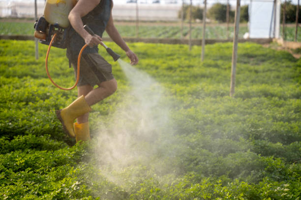 Best Pest Inspection Near Me  in Culver, OR