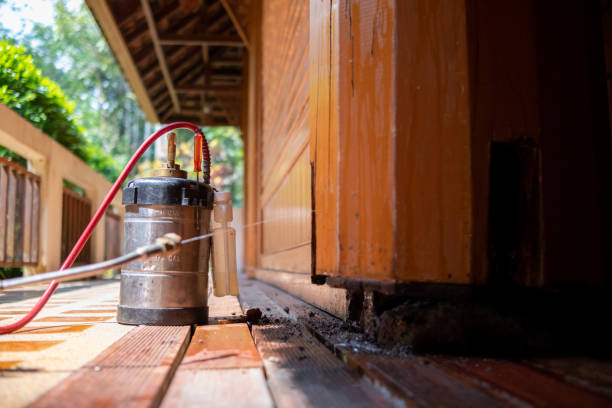 Best Local Pest Control Services  in Culver, OR