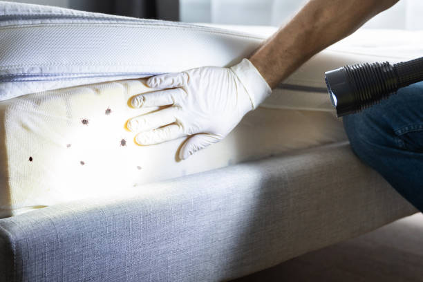Best Insect Control  in Culver, OR