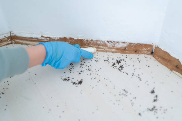 Best Affordable Pest Control Services  in Culver, OR