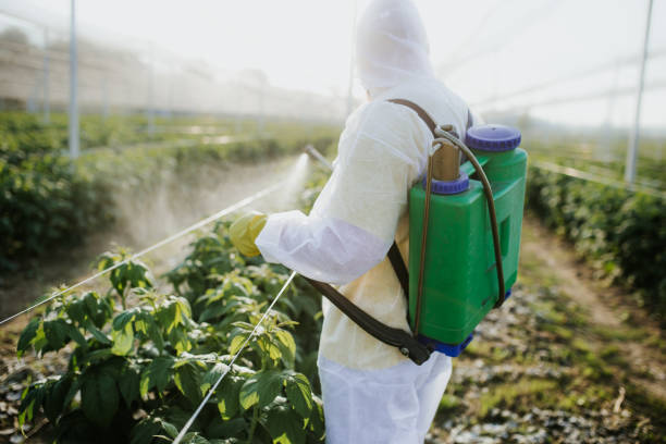 Best Pest Removal Services  in Culver, OR